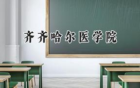 齐齐哈尔医学院2024在重庆录取分数线是多少？最低493分/最高558分