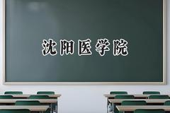 沈阳医学院2024在辽宁录取分数线是多少？最低416分/最高567分