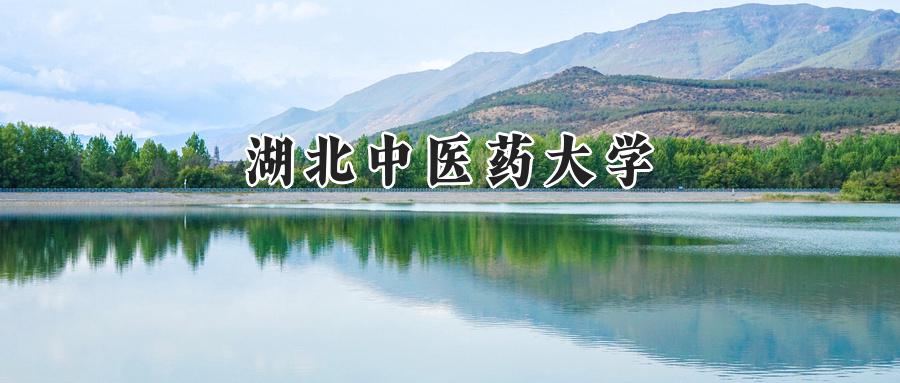 湖北中医药大学