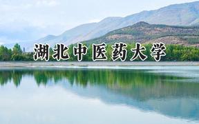 2024湖北中医药大学录取分数线：江苏最低529分