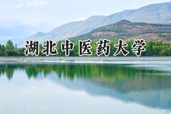 2024湖北中医药大学录取分数线：江苏最低529分
