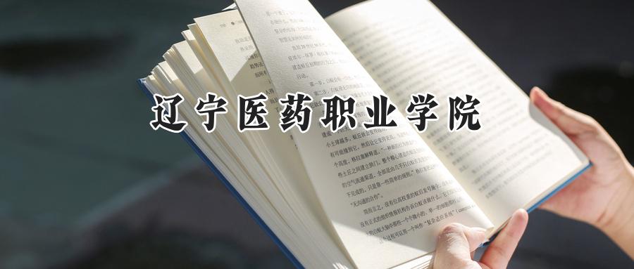 辽宁医药职业学院