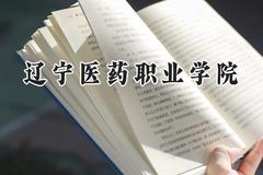 2024辽宁医药职业学院录取分数线：山西最低343分