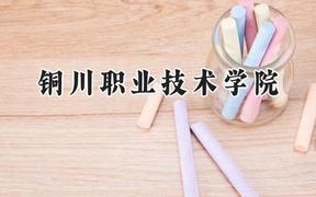 2024铜川职业技术学院录取分数线：青海最低278分