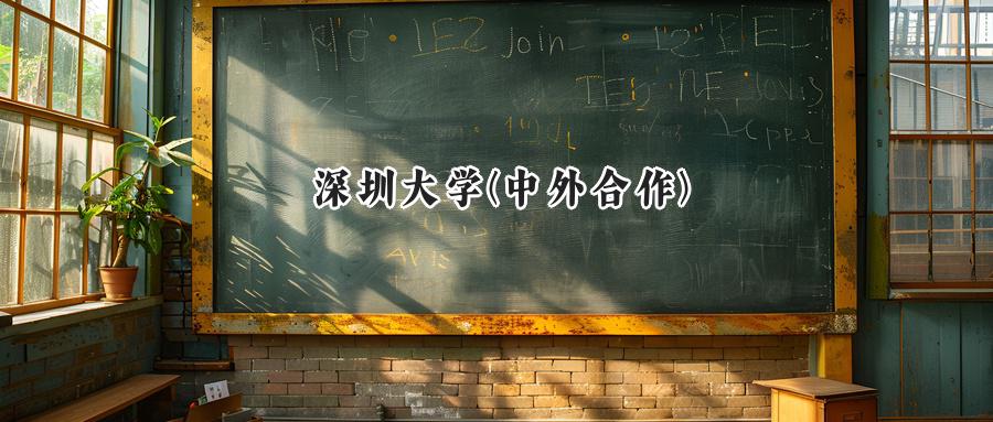 深圳大学(中外合作)