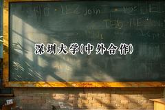 2024深圳大学(中外合作)录取分数线：山西最低556分