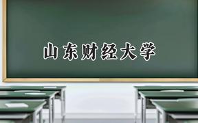 山东财经大学2024在江苏录取分数线是多少？最低553分/最高590分