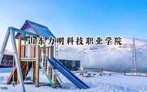 山东力明科技职业学院2024在贵州录取分数线是多少？最低211分/最高359分