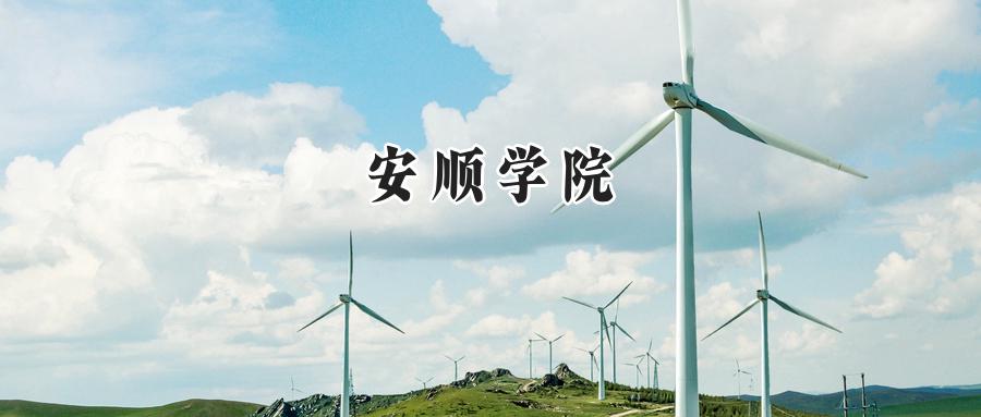 安顺学院