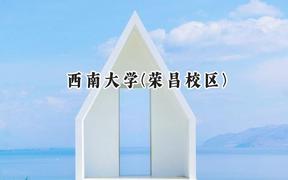 2024西南大学(荣昌校区)录取分数线：新疆最低449分