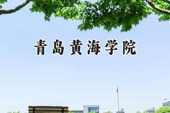 青岛黄海学院2024在内蒙古录取分数线是多少？最低195分/最高413分