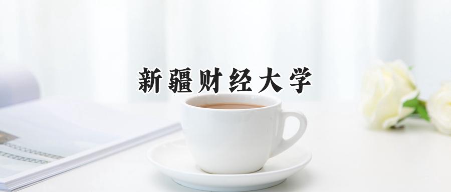 新疆财经大学