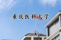 2024重庆医科大学录取分数线：青海最低378分