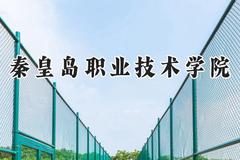 秦皇岛职业技术学院2024在重庆录取分数线是多少？最低314分/最高389分