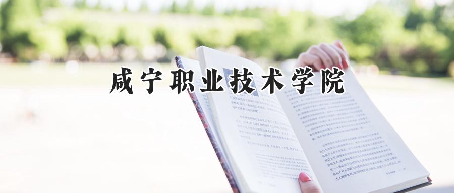 咸宁职业技术学院