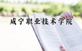咸宁职业技术学院2024在贵州录取分数线是多少？最低274分/最高414分