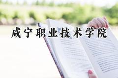 咸宁职业技术学院2024在贵州录取分数线是多少？最低274分/最高414分
