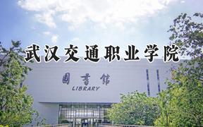 武汉交通职业学院2024在天津录取分数线是多少？最低214分/最高262分