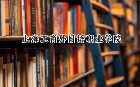 上海工商外国语职业学院2024在上海录取分数线是多少？最低100分/最高221分