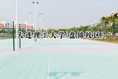 大连理工大学(盘锦校区)2024在天津录取分数线是多少？最低626分/最高632分