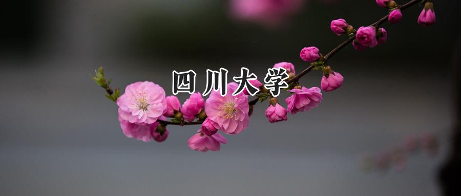 四川大学