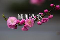 四川大学2024在四川录取分数线是多少？最低599分/最高683分