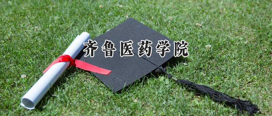 齐鲁医药学院