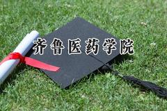 2024齐鲁医药学院录取分数线：江苏最低481分