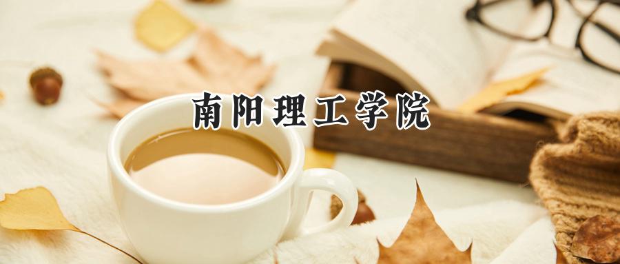 南阳理工学院