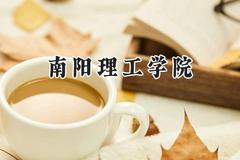 2024南阳理工学院录取分数线：宁夏最低409分
