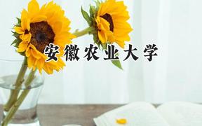 2024安徽农业大学录取分数线：宁夏最低445分