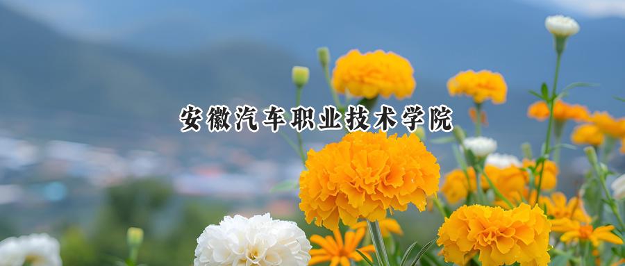安徽汽车职业技术学院