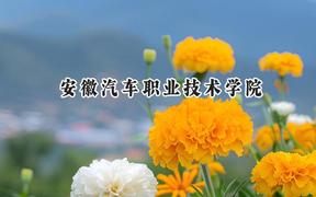 2024安徽汽车职业技术学院录取分数线：山西最低318分