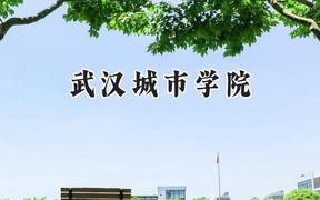武汉城市学院2024在贵州录取分数线是多少？最低386分/最高471分