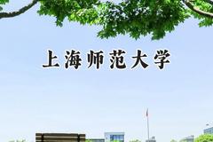 上海师范大学2024在重庆录取分数线是多少？最低542分/最高592分