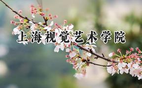 上海视觉艺术学院2024在上海录取分数线是多少？最低431分/最高441分