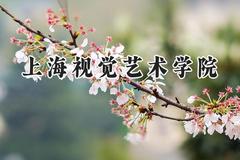 上海视觉艺术学院2024在上海录取分数线是多少？最低431分/最高441分