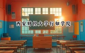 2024西安财经大学行知学院录取分数线：天津最低484分