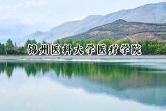 2024锦州医科大学医疗学院录取分数线：天津最低485分
