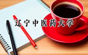 辽宁中医药大学2024在河北录取分数线是多少？最低510分/最高571分
