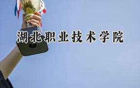 湖北职业技术学院2024在浙江录取分数线是多少？最低443分/最高516分