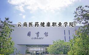 2024云南医药健康职业学院录取分数线：天津最低199分