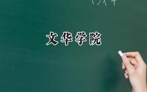 文华学院2024在浙江录取分数线是多少？最低319分/最高560分
