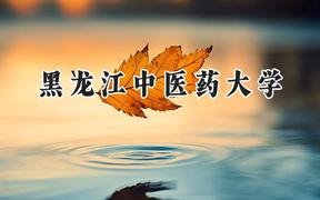 黑龙江中医药大学2024在浙江录取分数线是多少？最低488分/最高623分