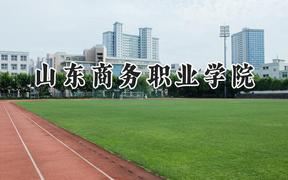 2024山东商务职业学院录取分数线：天津最低206分