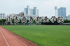 2024山东商务职业学院录取分数线：天津最低206分