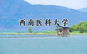 2024西南医科大学录取分数线：新疆最低480分