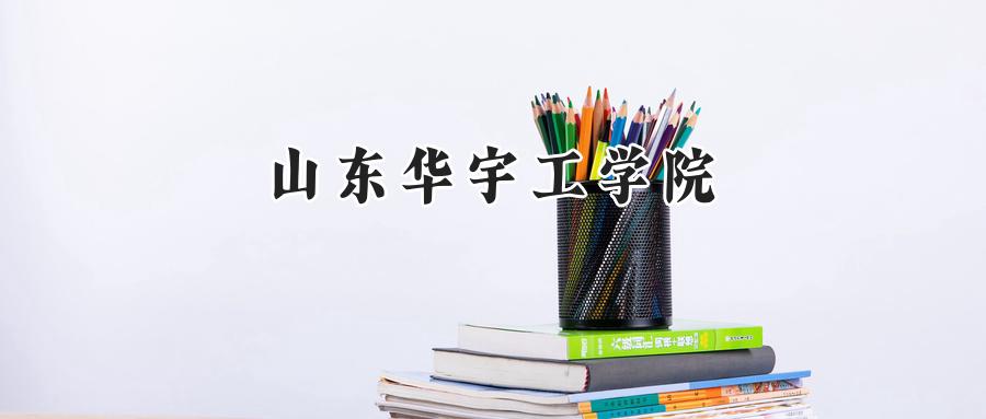 山东华宇工学院