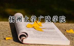 扬州大学广陵学院2024在内蒙古录取分数线是多少？最低362分/最高455分