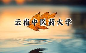 2024云南中医药大学录取分数线：青海最低380分